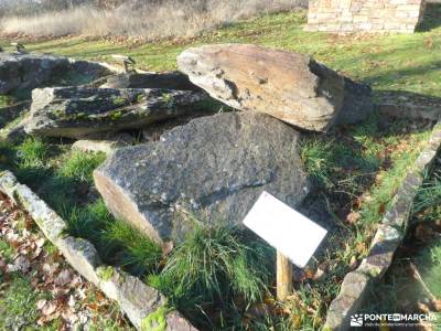 Comida NAVIDAD 2025-Caminos,dehesas Montejo de la Sierra; campos lavanda rutas por los arribes del d